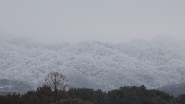 雪化粧の山